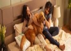 Turn In: A Buying Guide for Beds