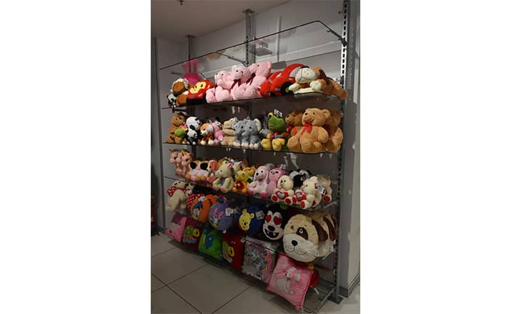 Max - Vasant Kunj, New Delhi