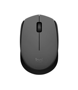 M171 WIRELESS MOUSE