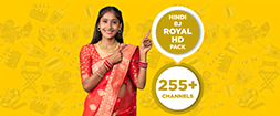 HINDI BJ ROYAL HD