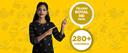 TELUGU ROYAL HD