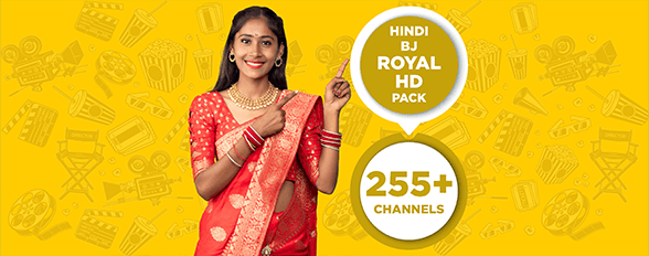 HINDI BJ ROYAL HD