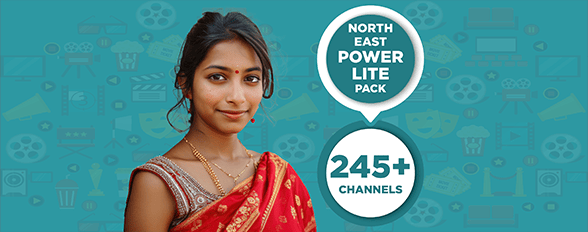 NORTH EAST POWER LITE