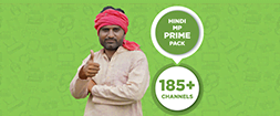 HINDI MP PRIME