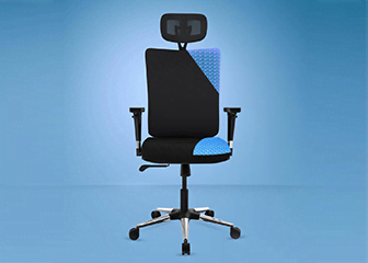 The Sleep Company Onyx Ortho Chair