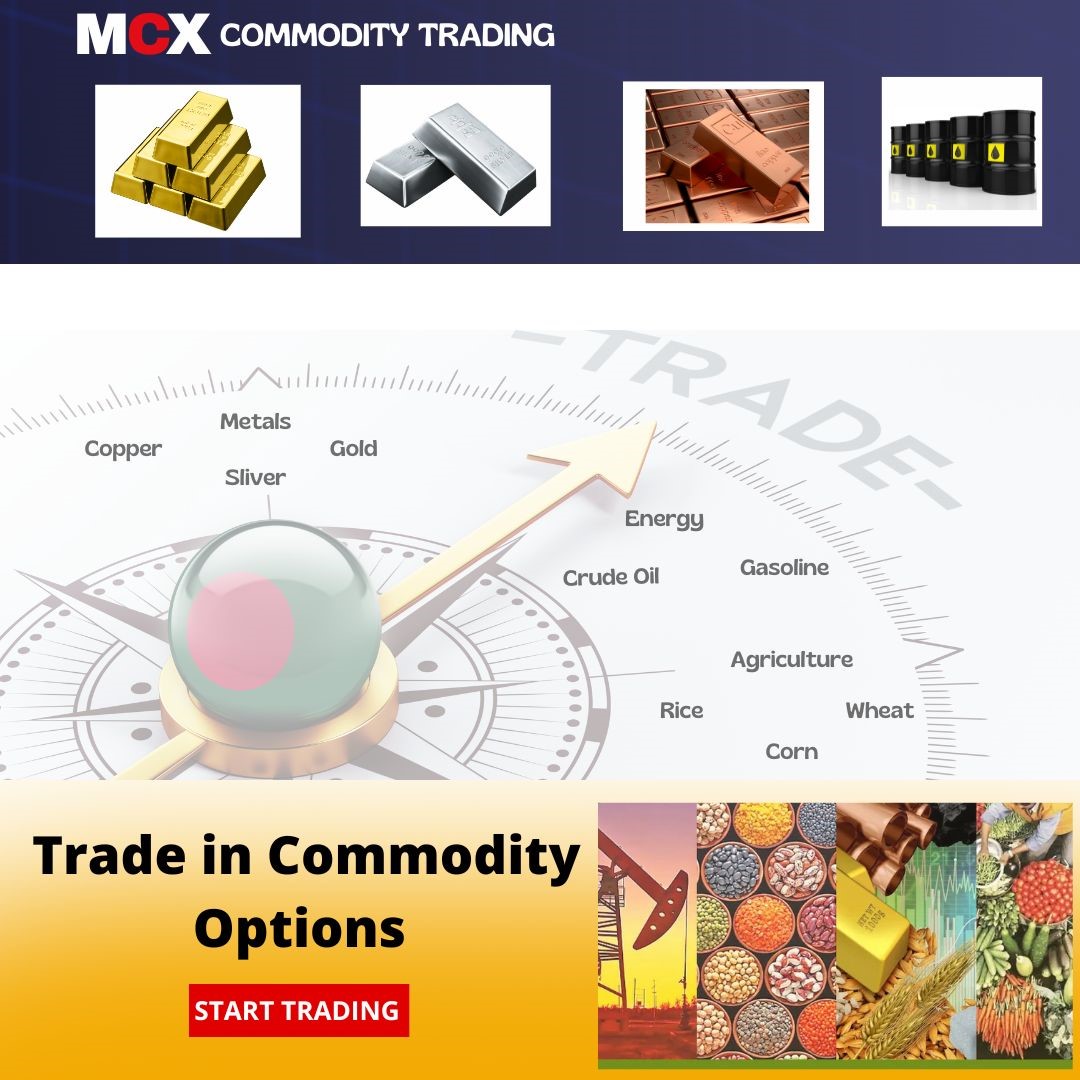 Motilal Oswal Financial Services Limited - Jaipur, Jaipur