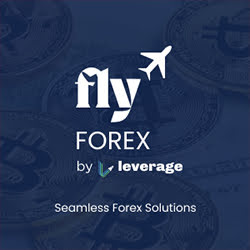 Seamless Forex Solutions