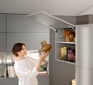AVENTOS HK-S