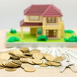 Nivara composite home loan