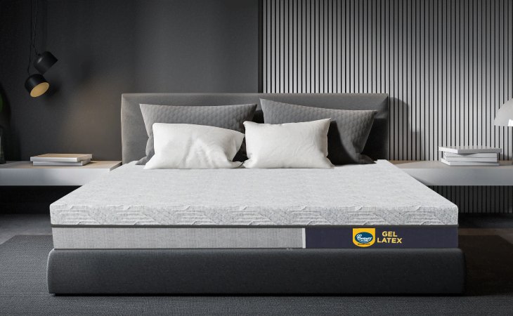 Centuary Mattress - Sector 21, Navi Mumbai