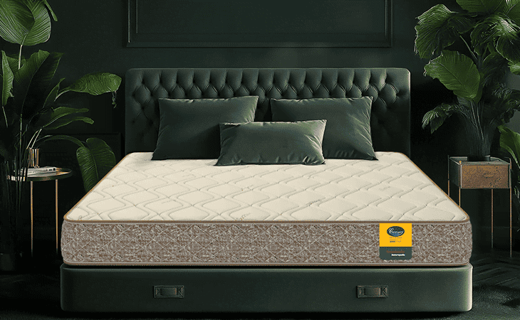 Centuary Mattress - Sector 21, Navi Mumbai