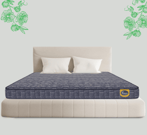 DR-SLEEP+