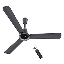Studio Nexus Ceiling Fan