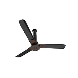 Studio + Ceiling Fan