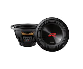 W-10 INCH SUBWOOFER