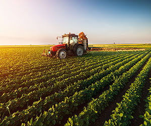 Agri Gold Loan
