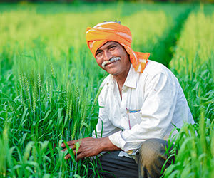 Kissan vahana