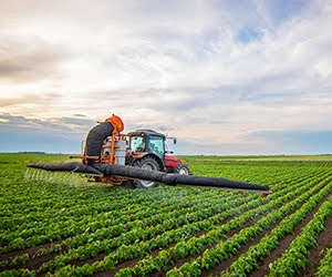 Agriculture Assistance