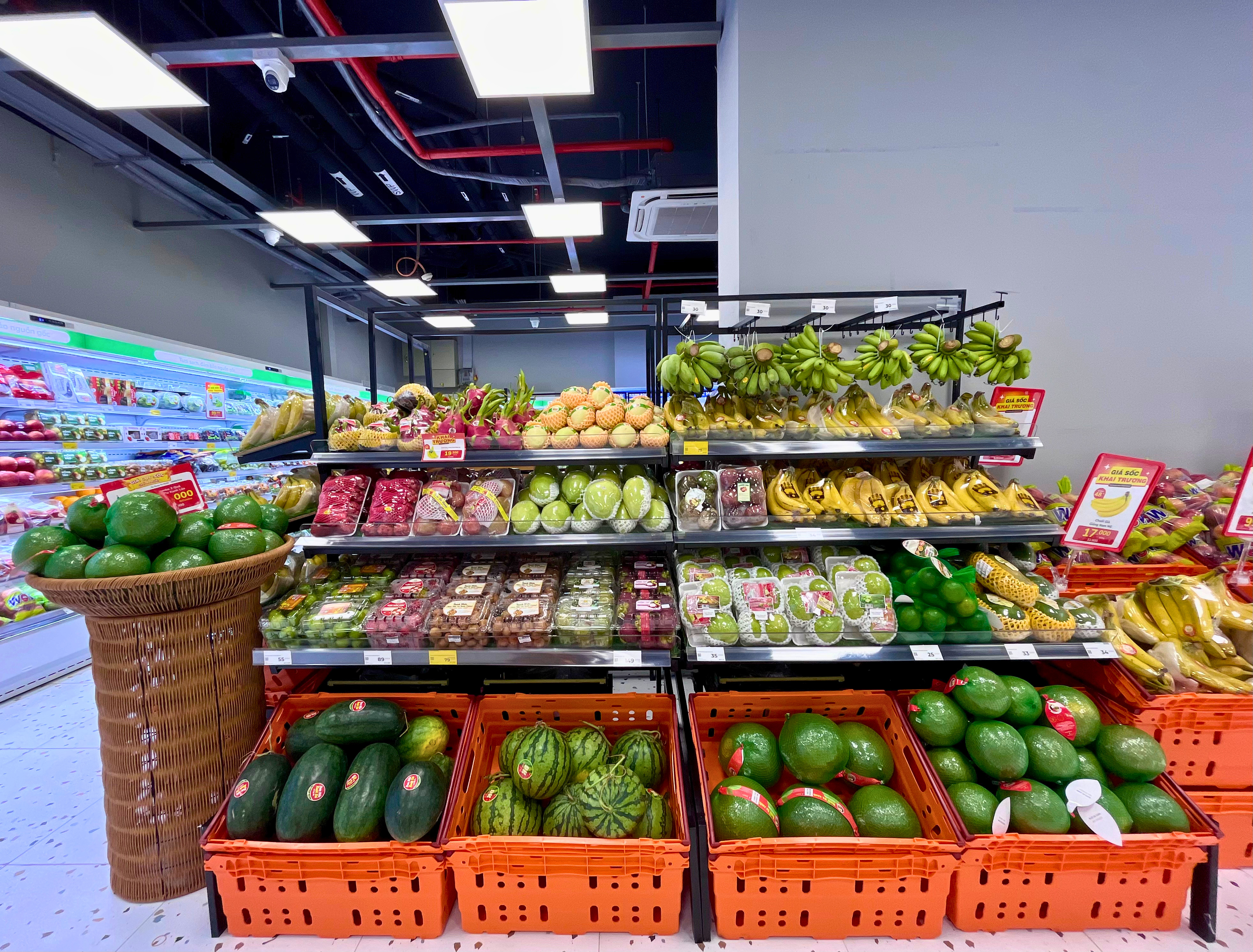 Kingfoodmart - Phường An Khánh