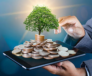Investment NCD