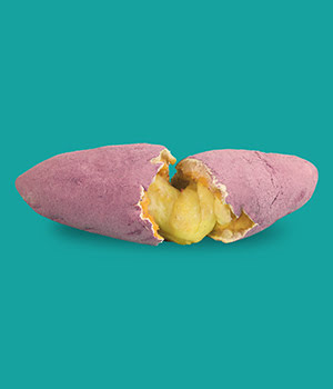 Goguma Ppang