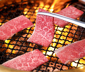 Special Wagyu Feast