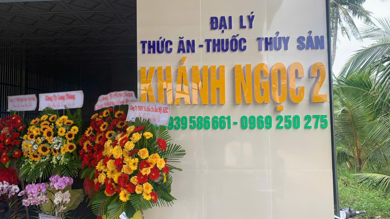 Âu Mỹ AEC - Cù Lao Dung