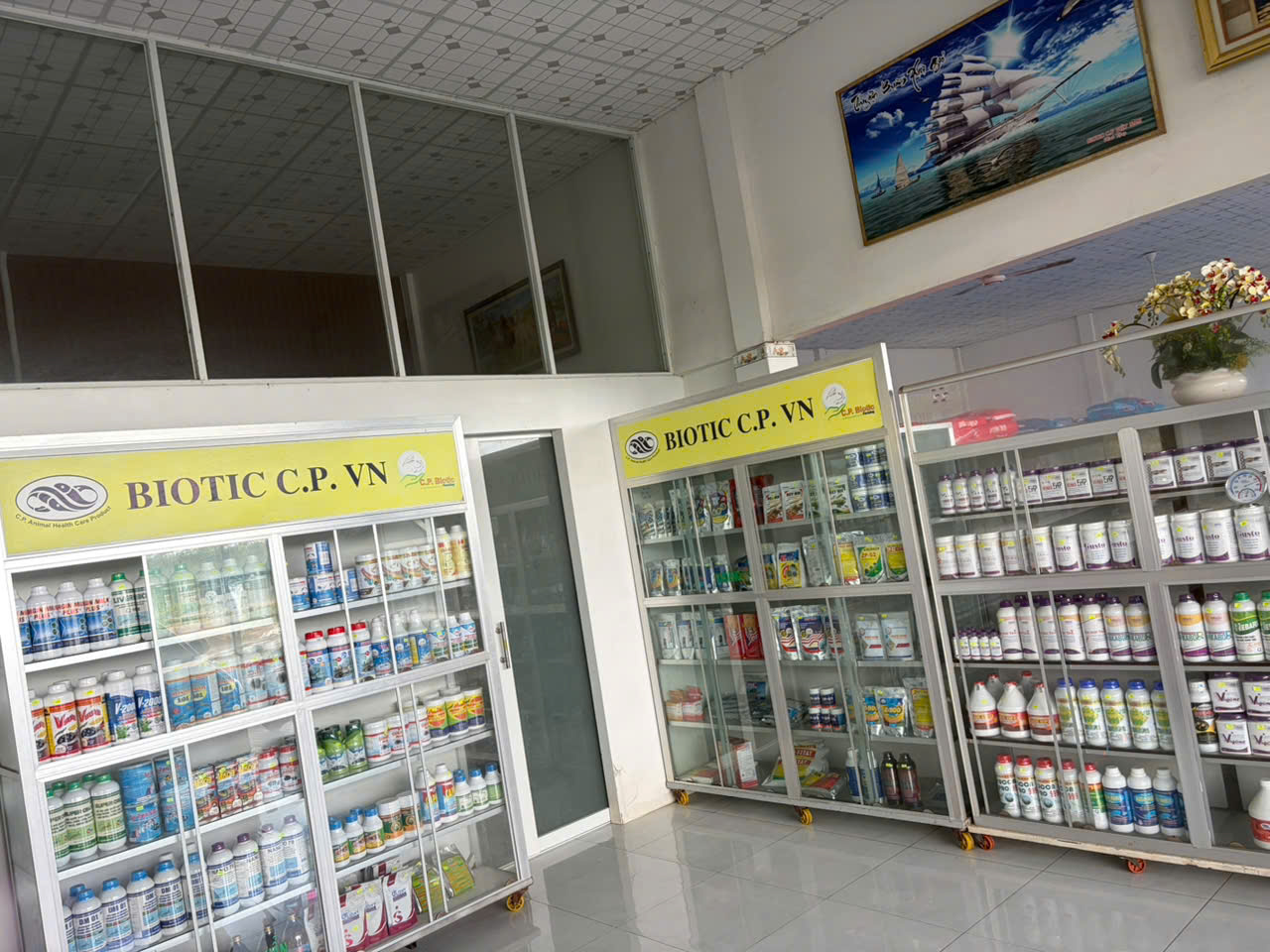 Âu Mỹ AEC - Long Hữu