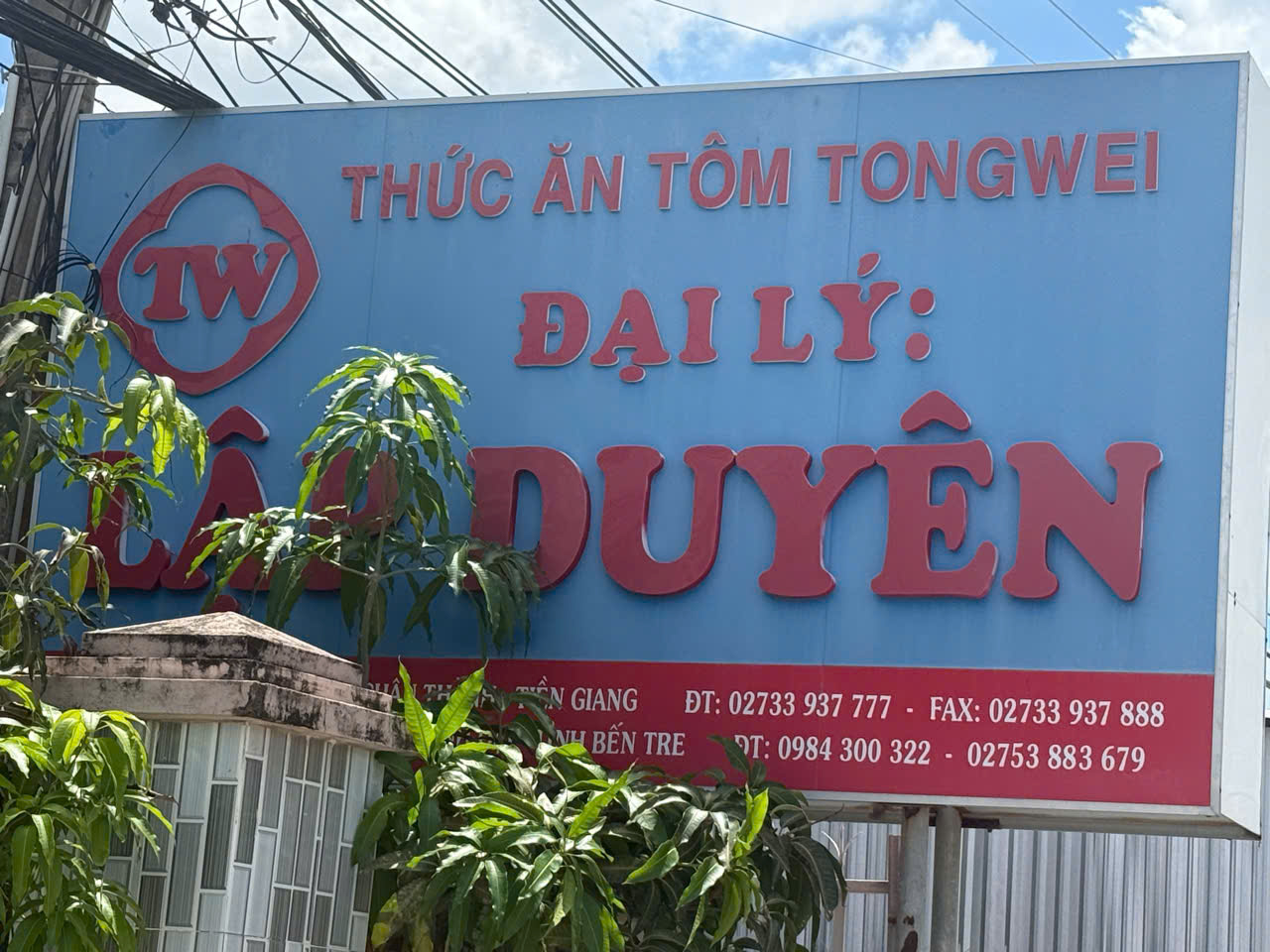 Âu Mỹ AEC - Xã Bình Đại