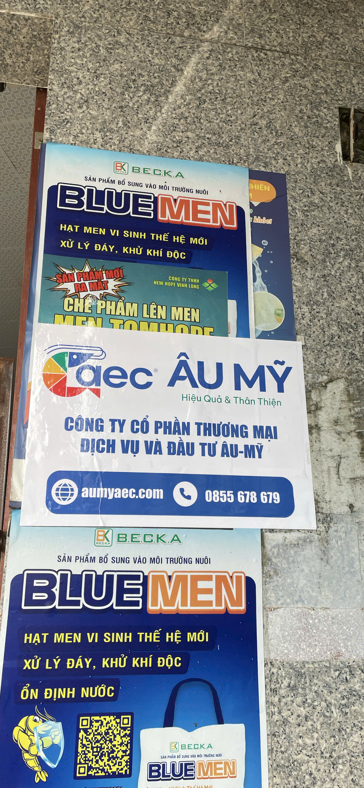 Âu Mỹ AEC - Xã Bình Đại