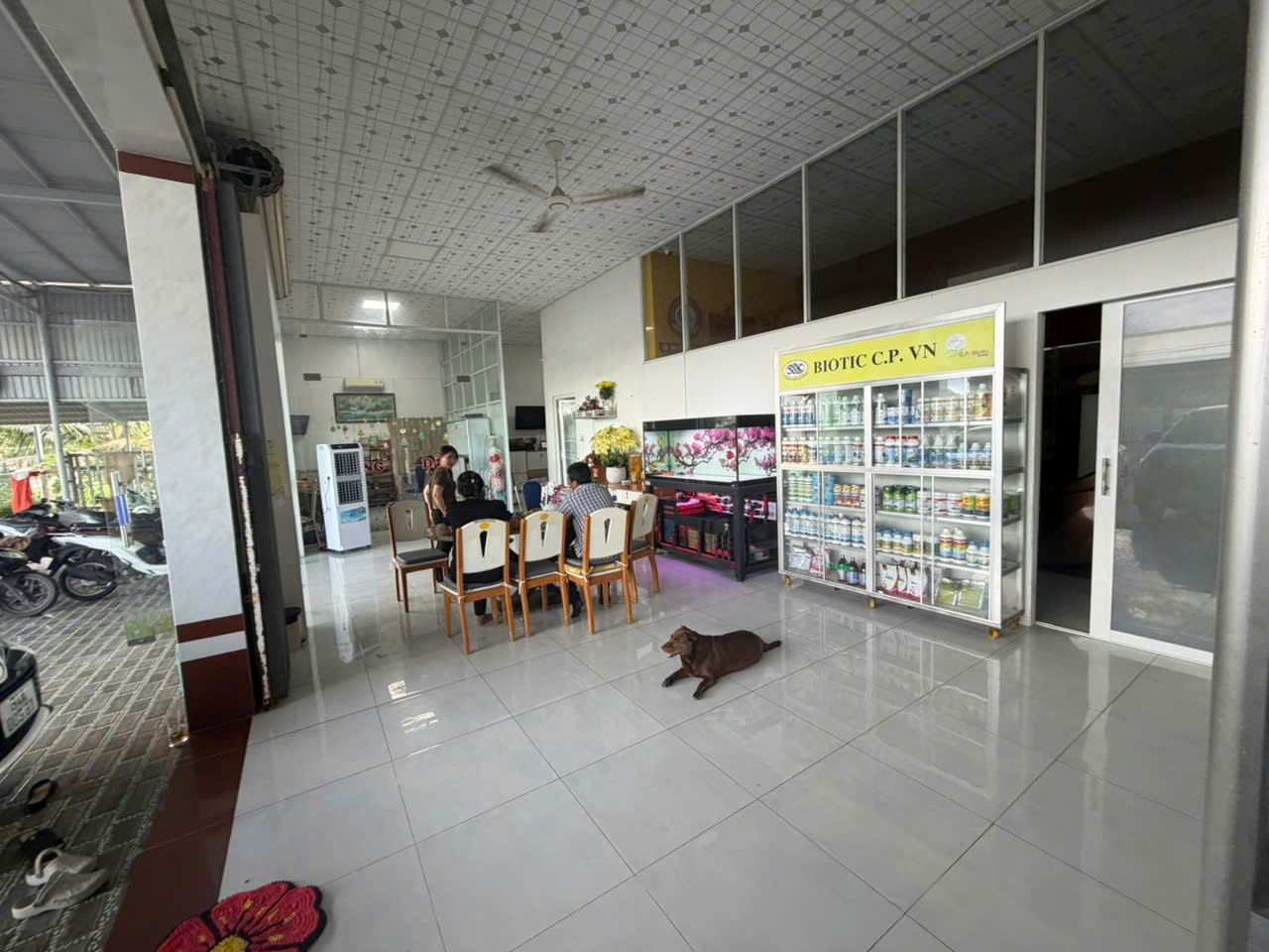 Âu Mỹ AEC - Long Hữu