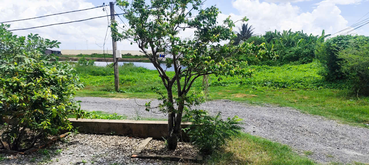 Âu Mỹ AEC - Ấp Giồng Chát