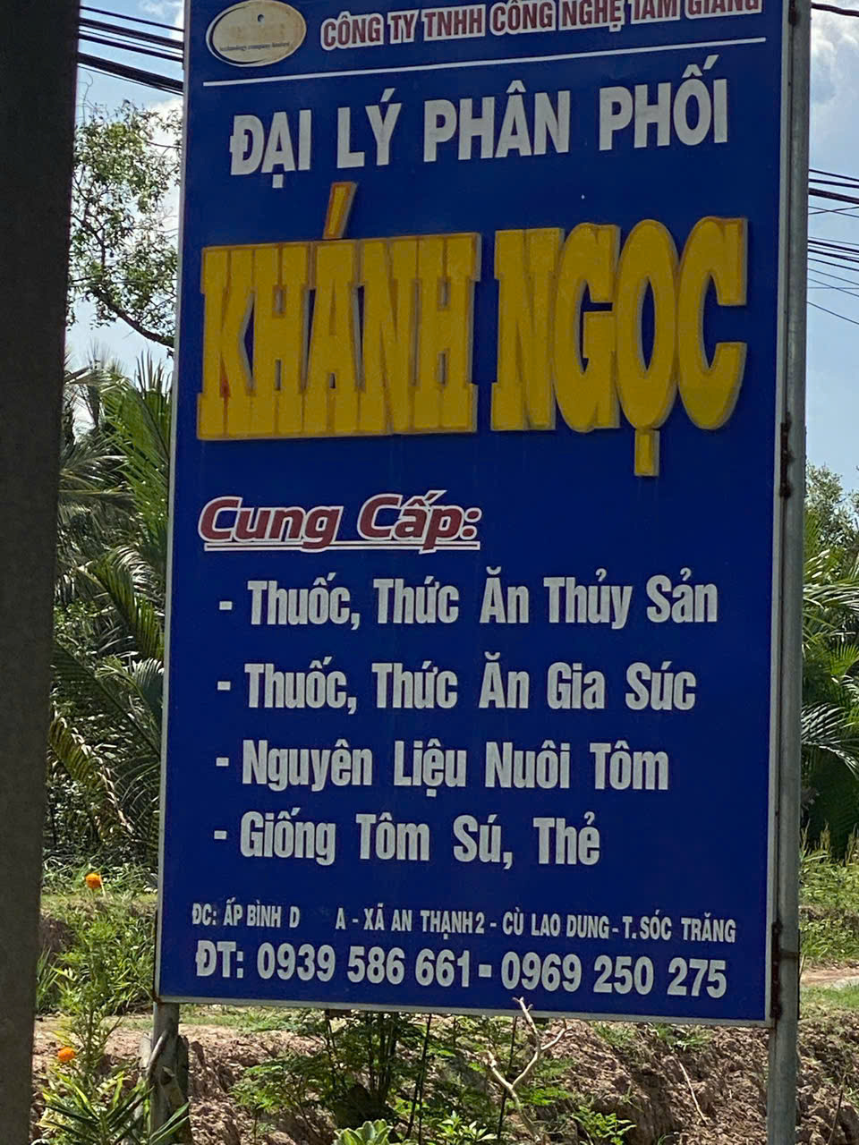 Âu Mỹ AEC - Cù Lao Dung