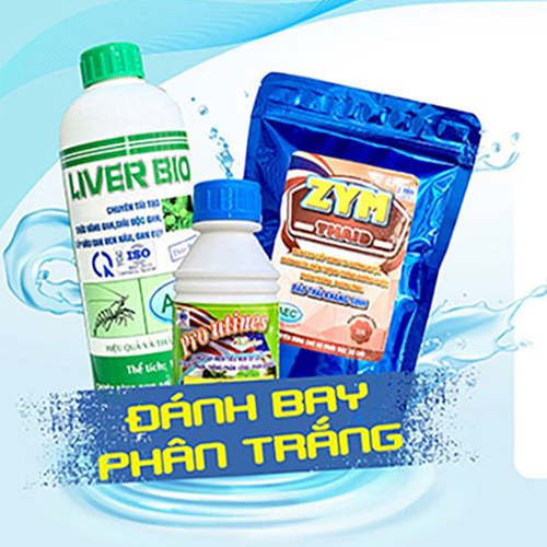 Bộ 3 Gan Ruột AEC