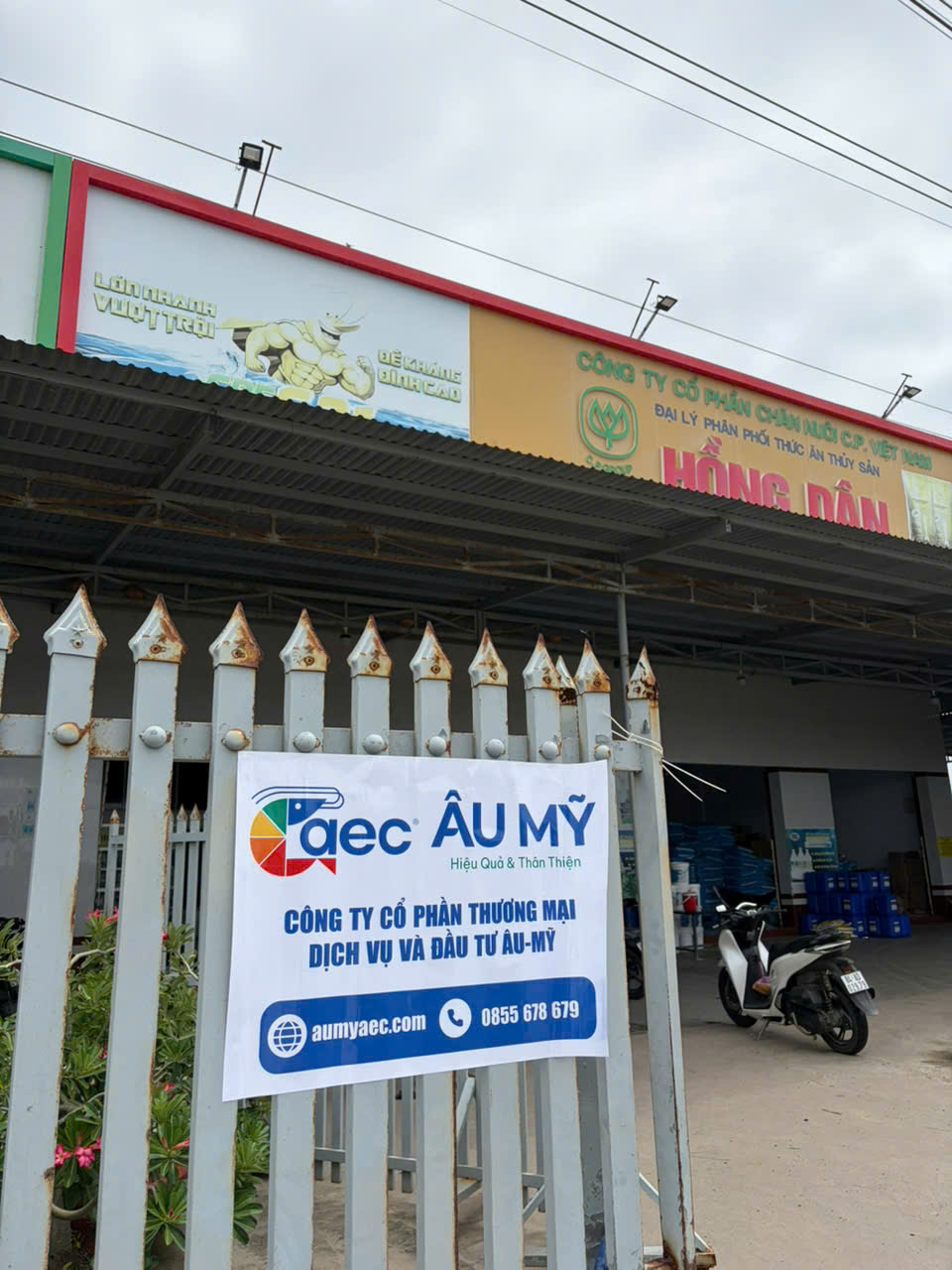 Âu Mỹ AEC - Long Hữu