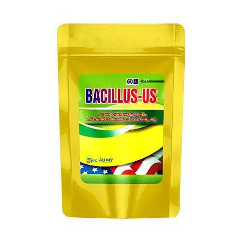 Bacillus-Us