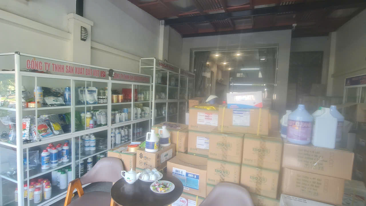 Âu Mỹ AEC - Bình Đại