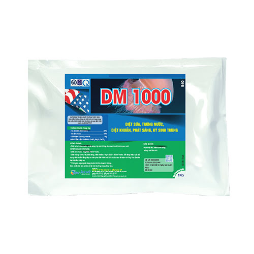 DM 1000