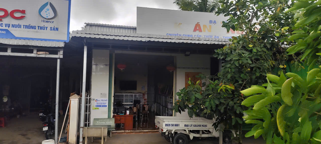 Âu Mỹ AEC - Cù Lao Dung