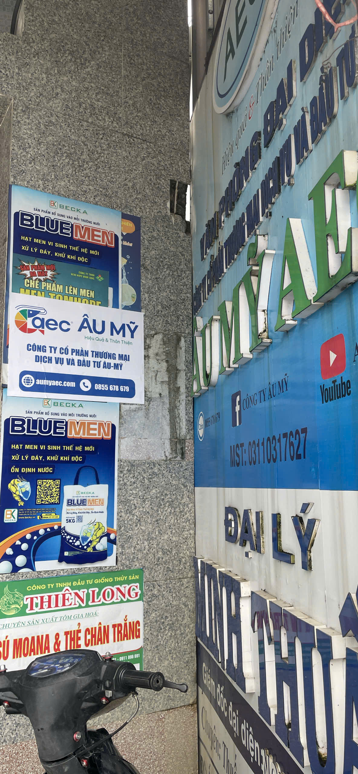 Âu Mỹ AEC - Xã Bình Đại