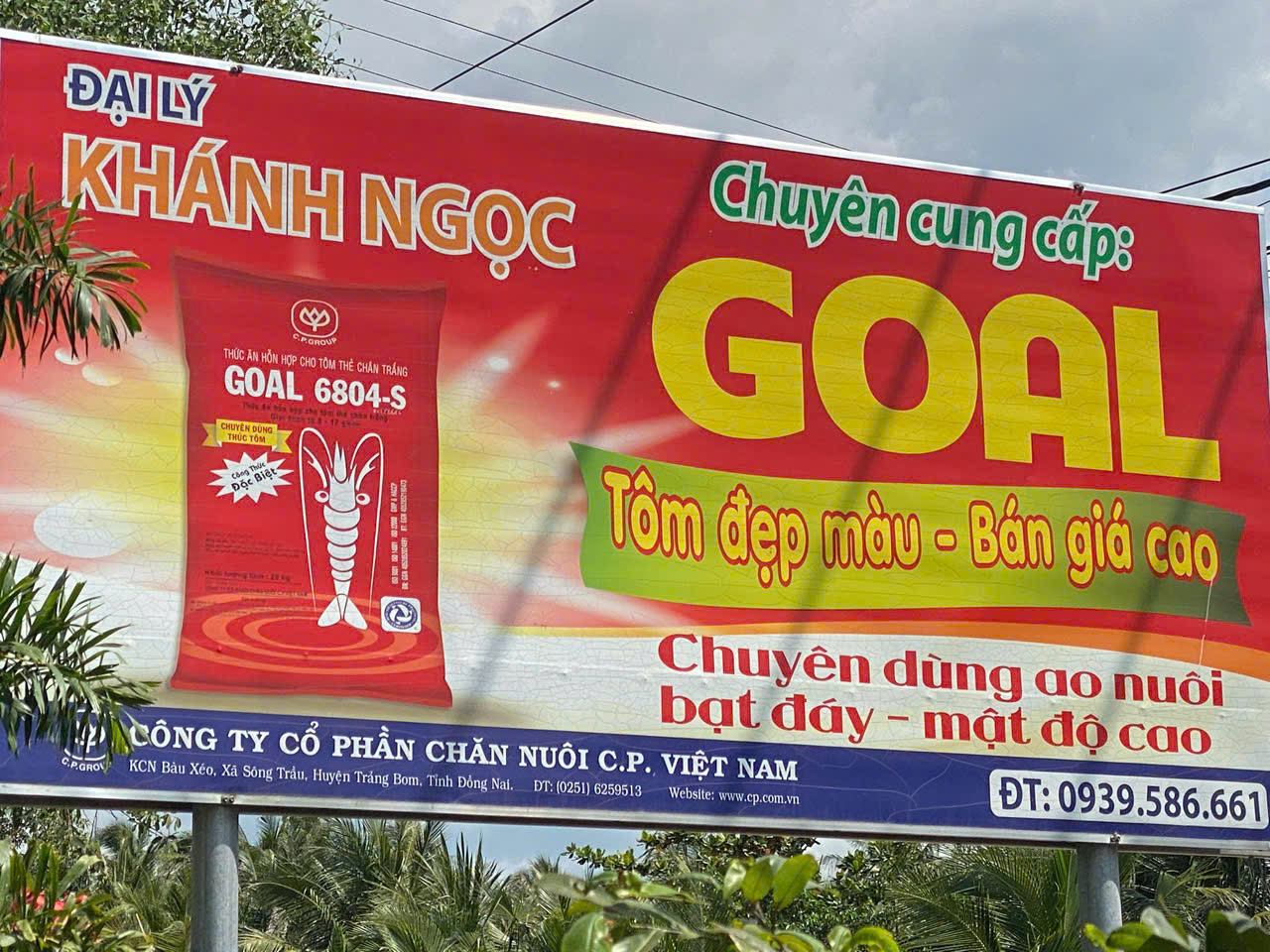 Âu Mỹ AEC - Cù Lao Dung