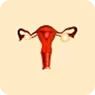 Ovary