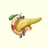 Pancrease