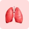 Lungs