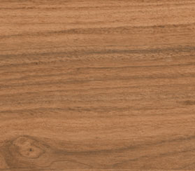 DGVT Pacific Pine Wood Beige