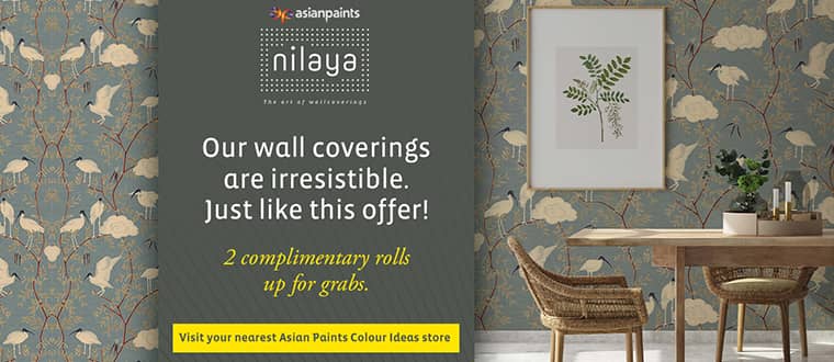 Asian Paints Colourideas - Kohinoor Paints, Navrangpura | Contact store ...