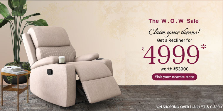 Get A Recliner For 4999