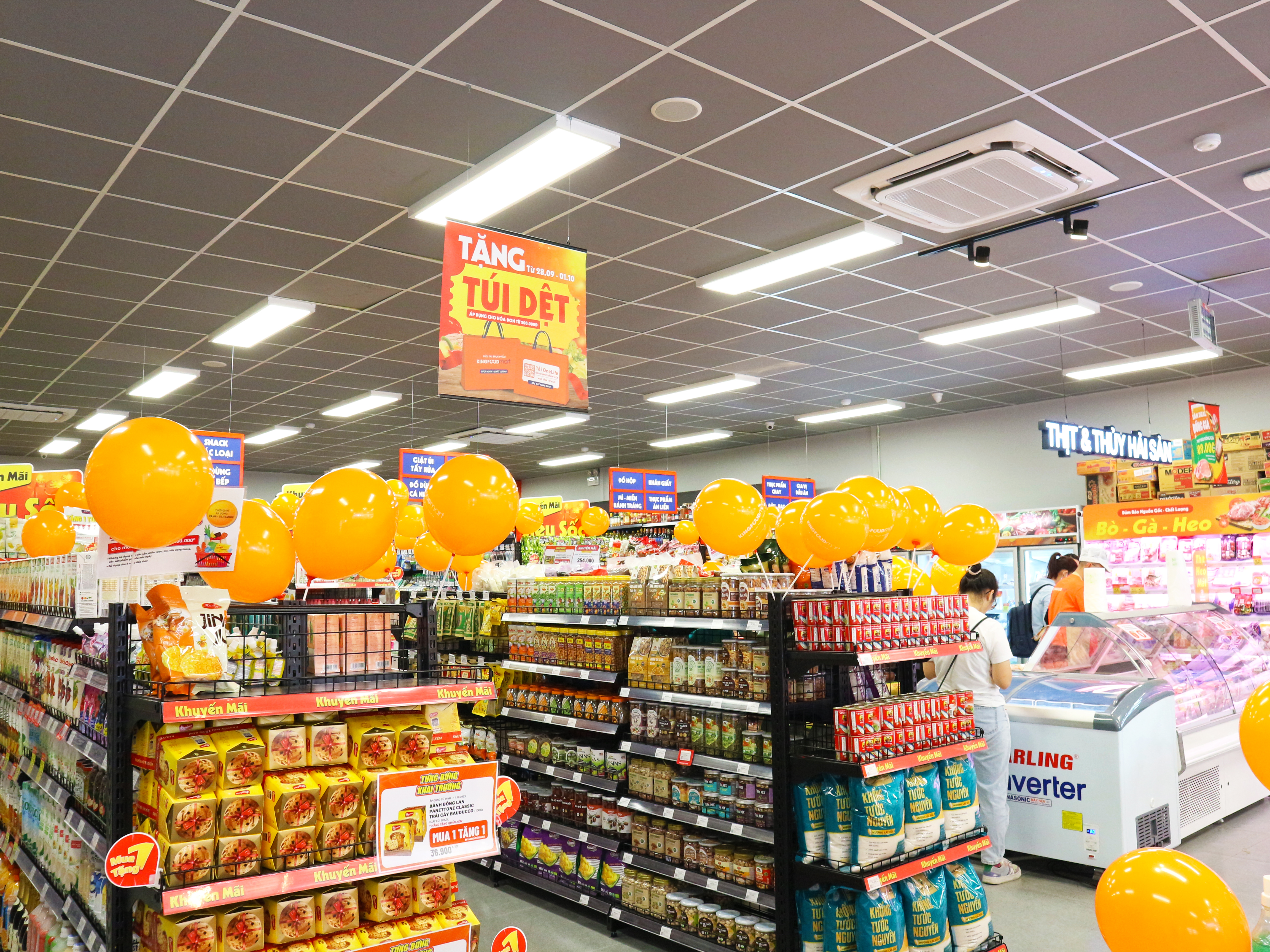 Kingfoodmart - Phường An Khánh, Hồ Chí Minh