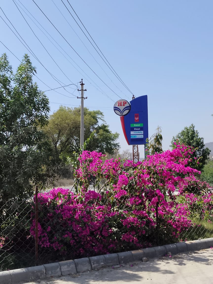 Hindustan Petroleum Corporation Limited - Gudli, Udaipur