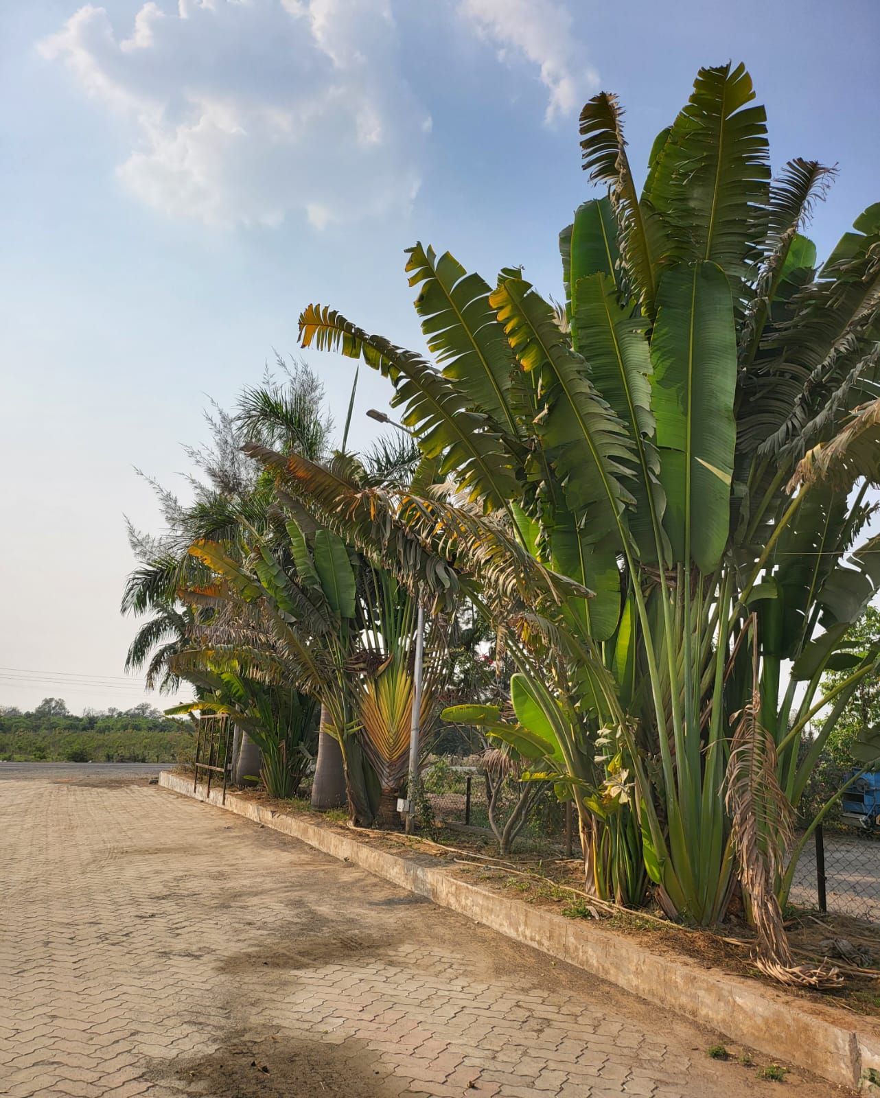 Hindustan Petroleum Corporation Limited - Tulsigam, Vadodara